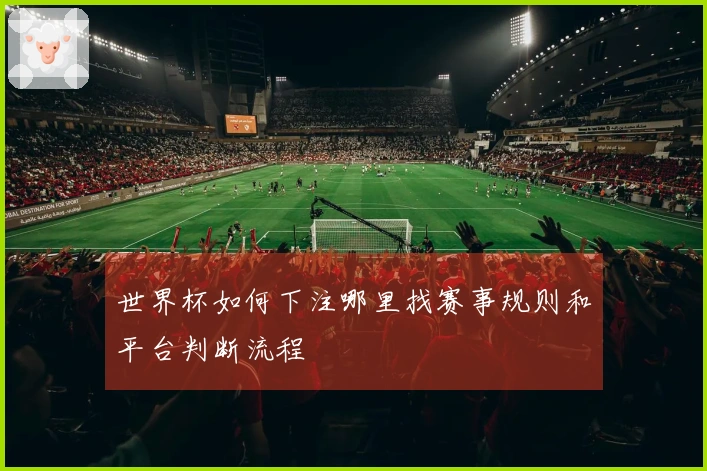 世界杯如何下注哪里找赛事规则和平台判断流程