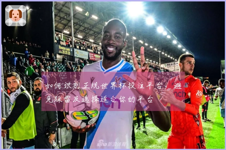如何识别正规世界杯投注平台，避免踩雷及选择适合你的平台