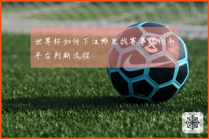 世界杯如何下注哪里找赛事规则和平台判断流程